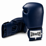 Muay Thai Boxing Gloves