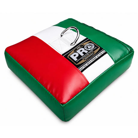ProBoxing® Sand Bag with D-Ring - (UNFILLED)